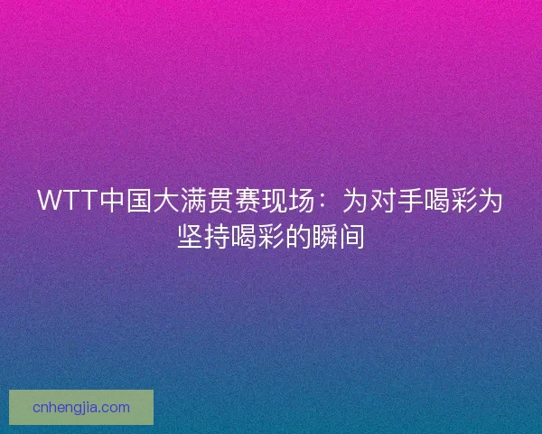 WTT中国大满贯赛现场：为对手喝彩为坚持喝彩的瞬间