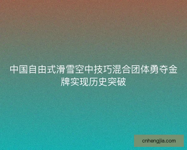 中国自由式滑雪空中技巧混合团体勇夺金牌实现历史突破